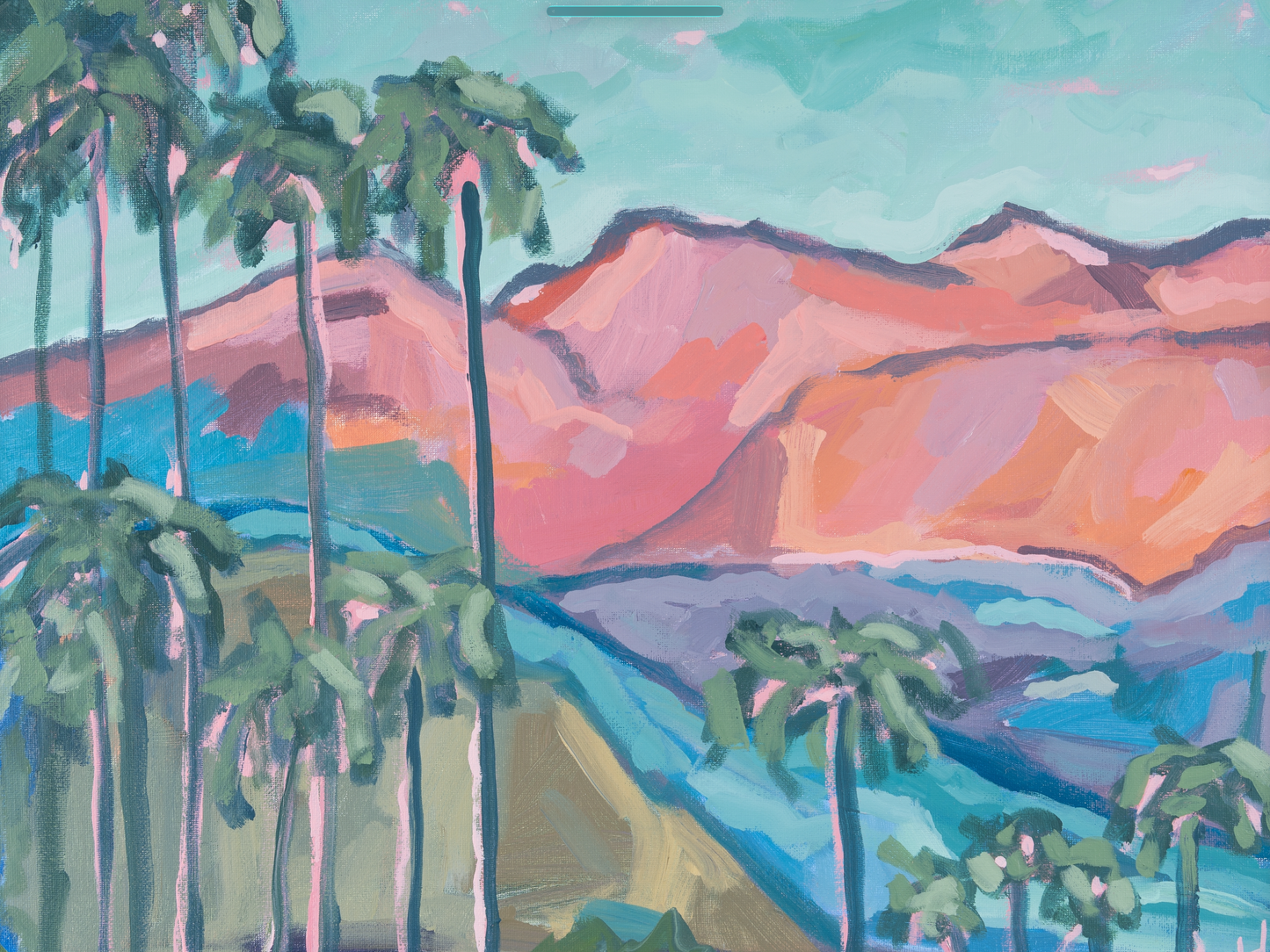 Pink Hour in the Palms